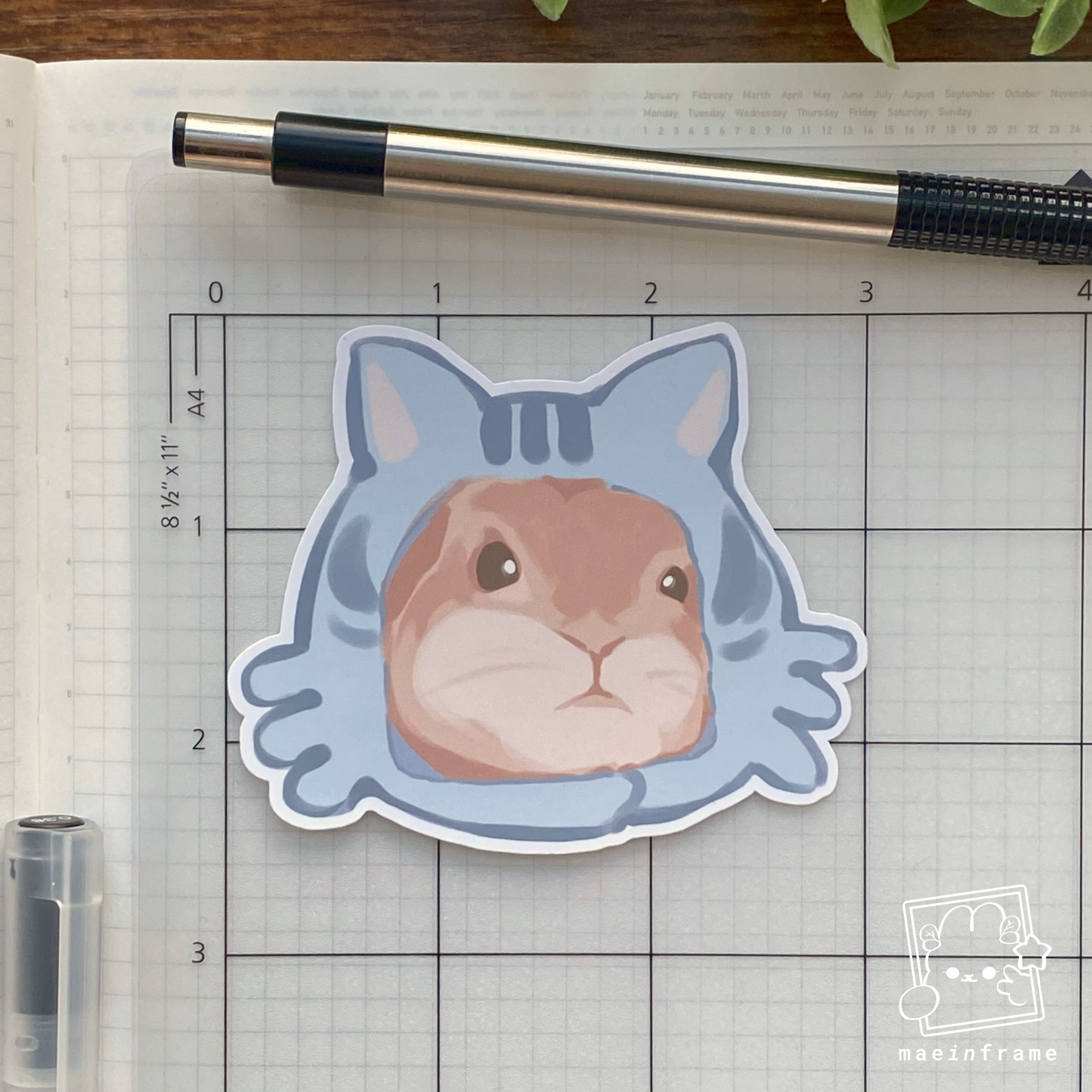 Bunny cat | 3x2.5in sticker